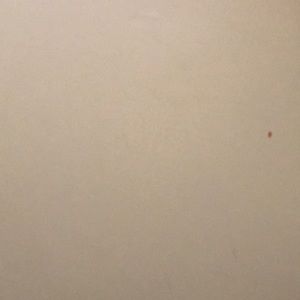 Meet your Posher, Juliana